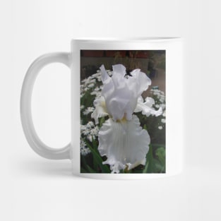 White Bearded Iris Irises in the white Garden Mug